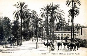 Laghouat - Place du Chameau et Jardin Public